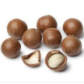 2021 Healthy Snacks Macadamia Nuts for Kids Creamy In shell  Roasted Macadamia kernels Roasted Nuts